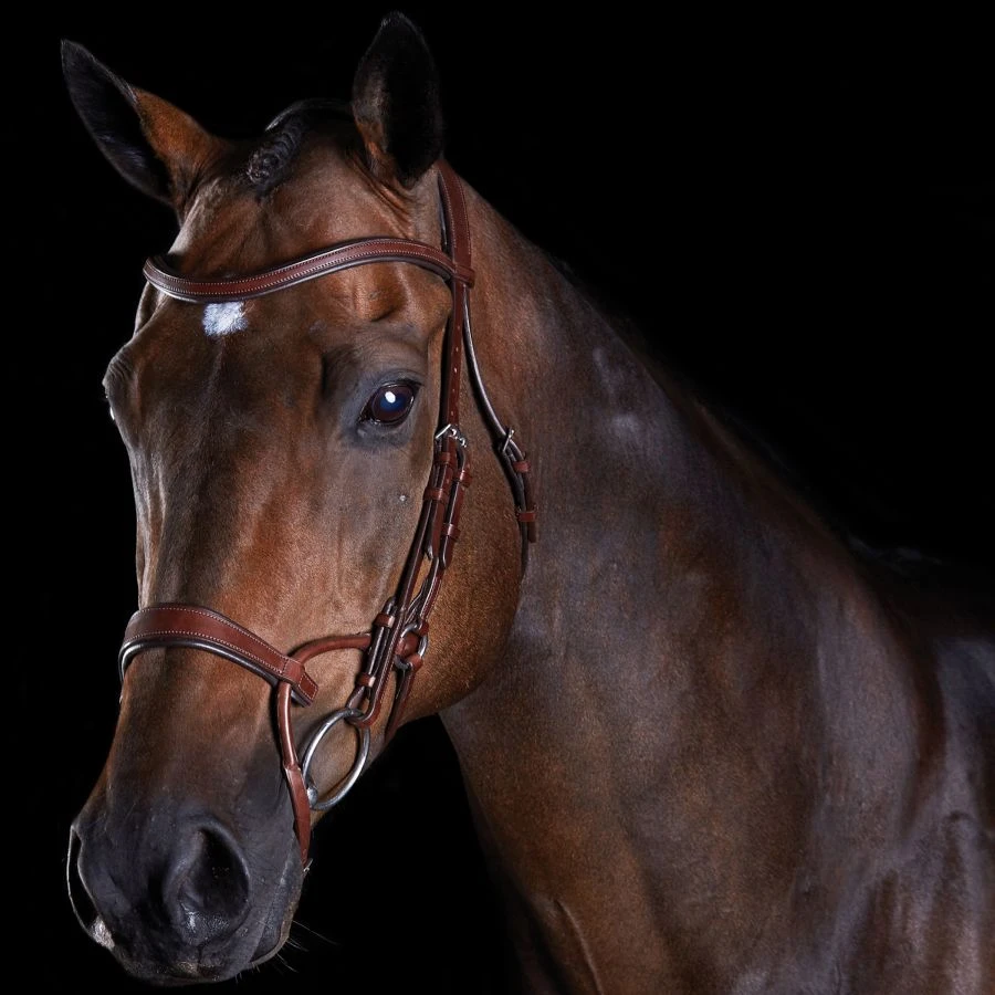 Collegiate Comfitec Training Bridle 3 Collegiate Comfitec Training Bridle