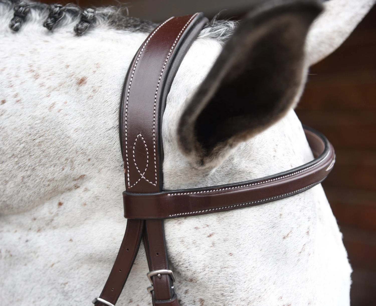 KL Select Red Barn Indio Bridle 4 KL Select Red Barn Indio Bridle - Image 2