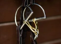 ProSeries Derby Bit - D Ring -Equestrian Product Store EHI TIEC finals 2 fc875200 cc3b 44c5 b1b8 09b2f5237457 jpg