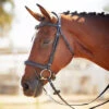 Kavalkade Ivy Plus Bridle -Equestrian Product Store KavalkadeIvyPlusBridle