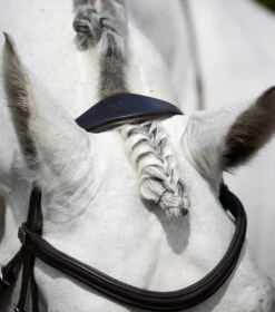 Premier Equine Rizzo Anatomic Snaffle Bridle With Flash -Equestrian Product Store PERizzocrownpiecebrown