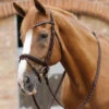 Premier Equine Pietro Laced Reins 1 Premier Equine Pietro Laced Reins -Equestrian Product Store PEpietro laced reins