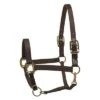 Perri's Safety Halter 1 Perri's Safety Halter -Equestrian Product Store Perri sSafetyHalterblack
