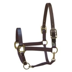 Perri's Safety Halter -Equestrian Product Store Perri sSafetyHalternavy