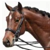 Bobby's Tack Padded Dressage Weymouth Double Bridle -Equestrian Product Store bobbys932
