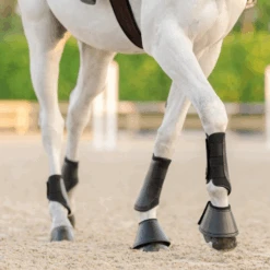 Equifit Essential® Everyday™ Front Boots 9 Equifit Essential® Everyday™ Front Boots -Equestrian Product Store download 4