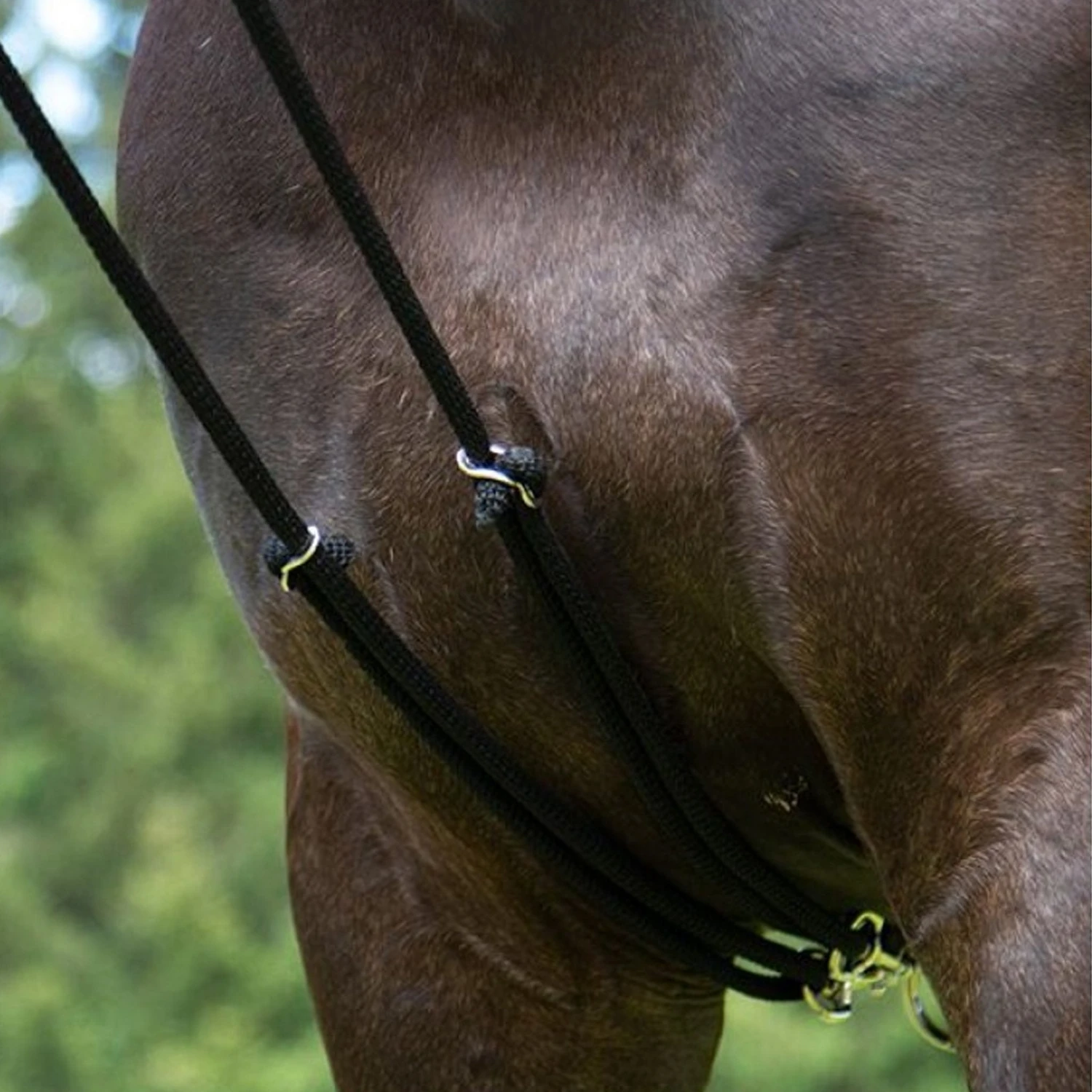 HKM Training System 4 HKM Training System - Image 3