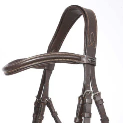 Kavalkade Ivy Dressage Bridle -Equestrian Product Store kavivy5