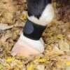 Professional's Choice VenTECH Pastern Wrap 1 Professional's Choice VenTECH Pastern Wrap -Equestrian Product Store pc