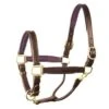 Perri's 1" Leather Padded Halter -Equestrian Product Store perrispadded