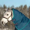 Rhino Turnout Hood 1 Rhino Turnout Hood -Equestrian Product Store rhino hood lite 0g 600x640 1
