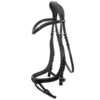 Schockemöhle Equitus Alpha Anatomical Bridle -Equestrian Product Store schoequitas