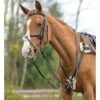 Shires 5-Point Padded Breastplate 2 Shires 5-Point Padded Breastplate -Equestrian Product Store shires