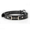 Tory Leather 1" Bit Belt -Equestrian Product Store torybitbelt
