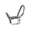Walsh Kentucky Triple Stitched Leather Halter -Equestrian Product Store walshkentucky