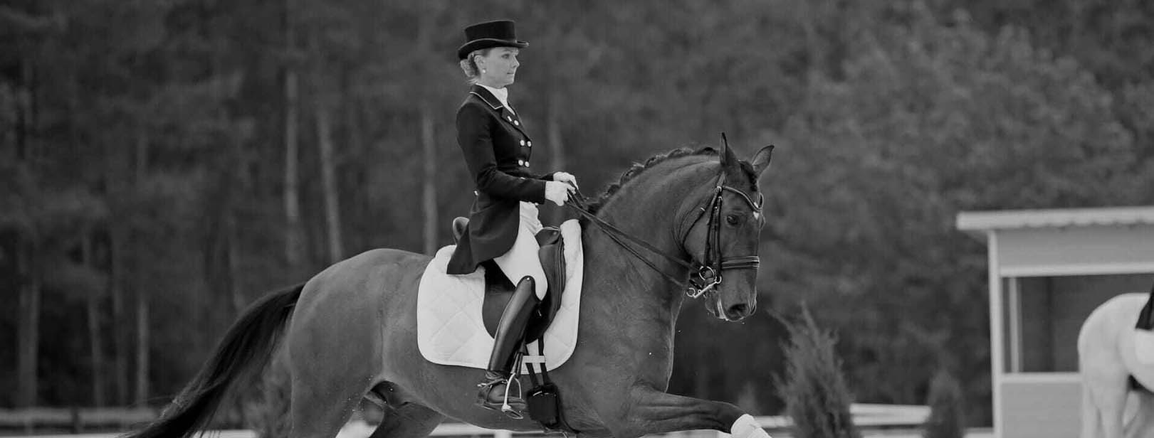 Equestrian Product Store -Equestrian Product Store DFGGF