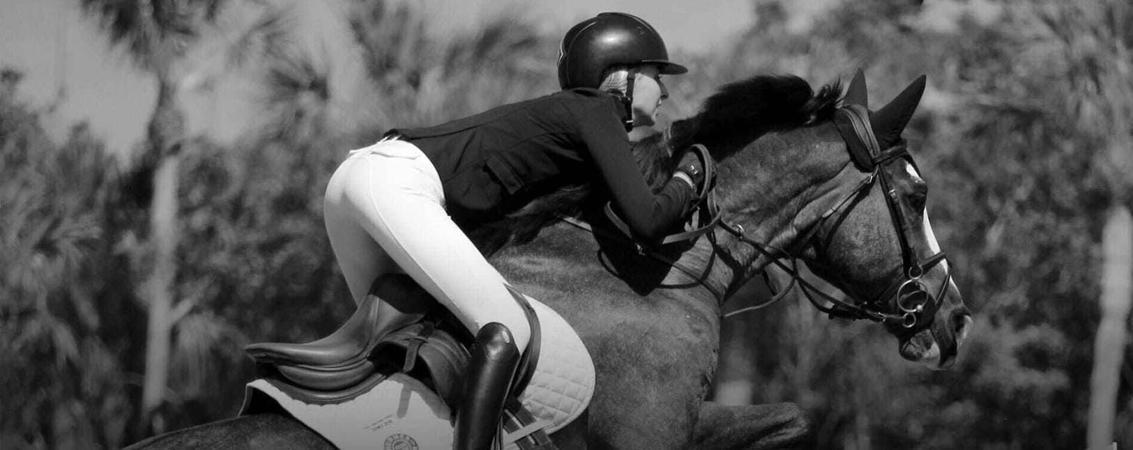 Equestrian Product Store -Equestrian Product Store DGDG